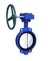 D371X���Aʽ΁݆ܛ�ܷ���y